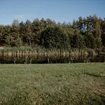 U Marleny Skorzenno