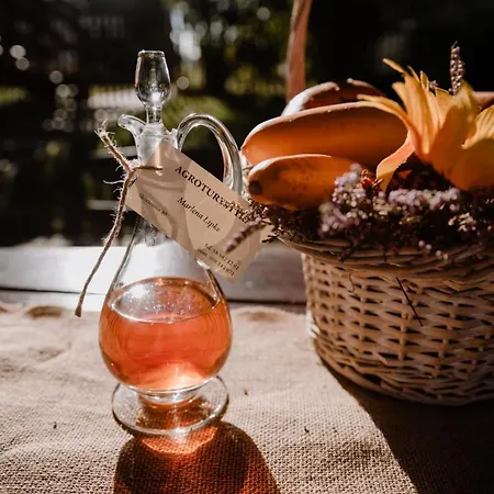 U Marleny アパート