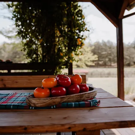 Appartement U Marleny Skorzenno