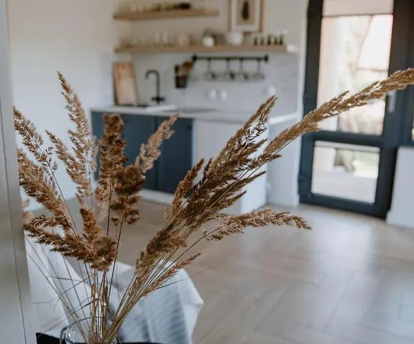 Apartament U Marleny Skorzenno