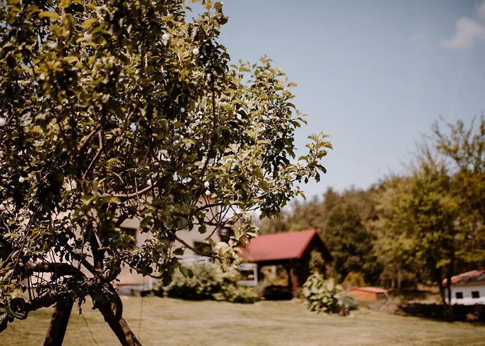 U Marleny Apartament