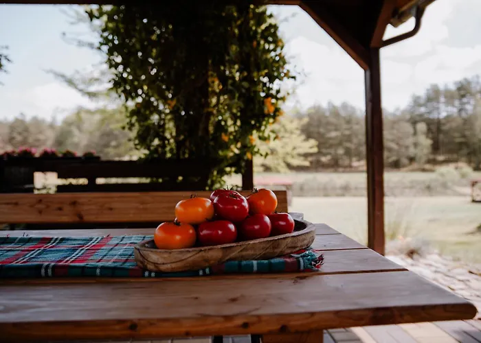 Apartament U Marleny Skorzenno